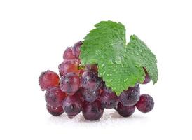 grapes with drop of water isolated on white background. photo