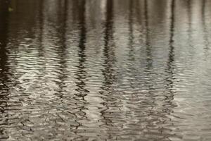 Water in spring. Waves on surface. Spring puddle. Details of nature. photo
