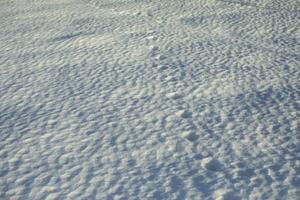 Animal tracks in the snow. Fox tracks in the wild. Small prints on the snow surface. photo