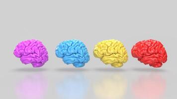 The Brain multi color on white background for education or sci concept 3d rendering. photo