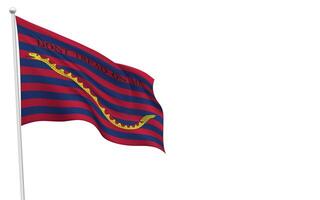 South Carolina Navy Ensign Flag Waving on a White Background vector