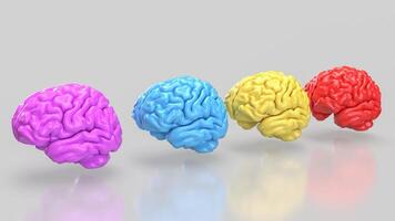 The Brain multi color on white background for education or sci concept 3d rendering. photo