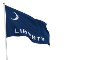 Fort Moultrie Flag Waving on a White Background vector