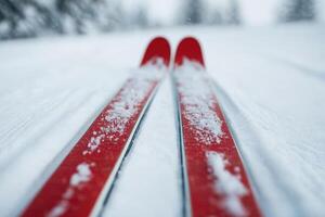 Red skis lying on fresh snow during snowfall in a winter forest photo