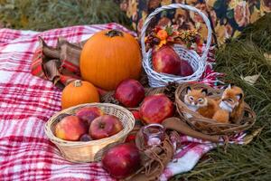 Autumn picnic in nature with apples. Apples and pumpkins on a blanket in nature photo