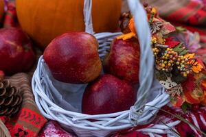 Autumn picnic in nature with apples. Apples and pumpkins on a blanket in nature photo