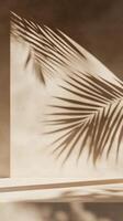 A close-up of the shadow cast in the style of palm leaves on an empty shelf, set against a textured beige wall, evoking a serene and minimalist aesthetic photo