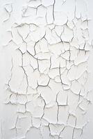 Fine craquelure texture smooth intricate mosaic on white canvas photo