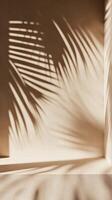 A close-up of the shadow cast in the style of palm leaves on an empty shelf, set against a textured beige wall, evoking a serene and minimalist aesthetic photo