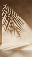 A close-up of the shadow cast in the style of palm leaves on an empty shelf, set against a textured beige wall, evoking a serene and minimalist aesthetic photo