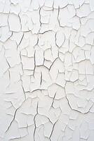Fine craquelure texture smooth intricate mosaic on white canvas photo