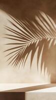 A close-up of the shadow cast in the style of palm leaves on an empty shelf, set against a textured beige wall, evoking a serene and minimalist aesthetic photo