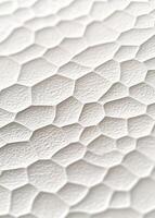 A texture of white paper, featuring an intricate pattern with small and large scales that create depth in the surface photo