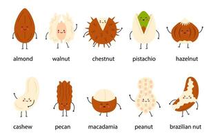 Cute set of happy nuts with names. Cartoon nuts isolated on white background. vector