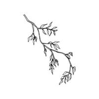 long branch with slightly wilted drooping leaves - line art doodle style vector