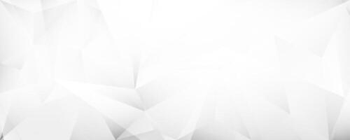 wide elegant white triangular polygon pattern background vector