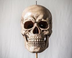 Detailed human skull model against a neutral backdrop, showcasing anatomical features. photo