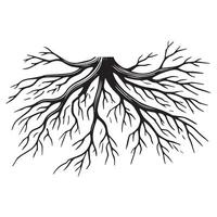 Tree Root Graphic for Nature Projects vector