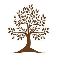 A tree with leaves on it vector