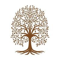A tree with leaves and roots on a white background vector