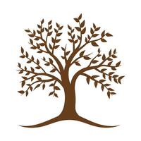 A tree with leaves and branches on a white background vector
