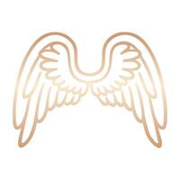 Colorful Angel Wing with Intricate Feather Patterns vector