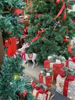 Decorating home in Christmas party with including of raindeer Christmas gift Christmas tree photo
