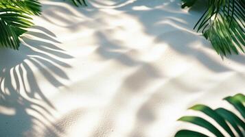 Tropical palm leaf shadows on smooth white sand, sunlight casting artistic patterns, serene beach atmosphere, natural summer background for relaxation themes photo