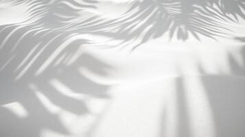 Soft palm leaf shadows on white sand textured surface, minimal nature background with sunlight, abstract tropical design for wellness, beauty, and branding concepts photo