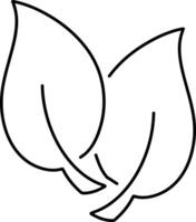 Outline leaf icon isolated vector