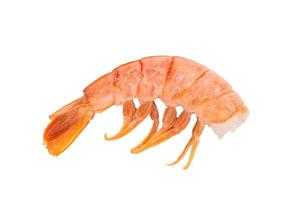 Raw Headless Red Argentine shrimps, Prawns isolated on white background. top view photo