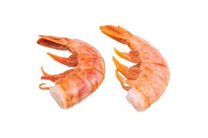 Raw Headless Red Argentine shrimps, Prawns isolated on white background. top view photo