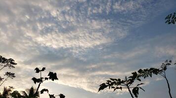 Silhouetted Tree Branches Against a Cloudy Sky photo
