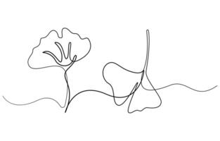 Ginkgo flower continuous single line drawing illustration vector