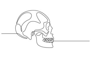 Human skull continuous one line drawing vector