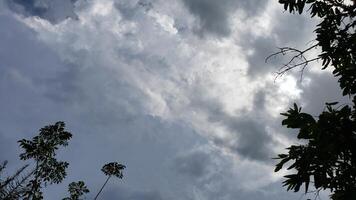 Silhouetted Tree Branches Against a Cloudy Sky photo