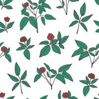 Ginseng branches with leaves and berries seamless pattern. Chinese medicinal plant design for textile, fabric, wrapping paper vector