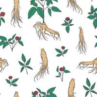 Ginseng root with steam, leaves and berries seamless pattern. Chinese medicinal plant design for textile, fabric, wrapping paper vector