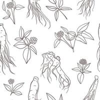 Ginseng root hand drawn seamless pattern. Medicinal plant sketch style design for textile, fabric, wrapping paper vector