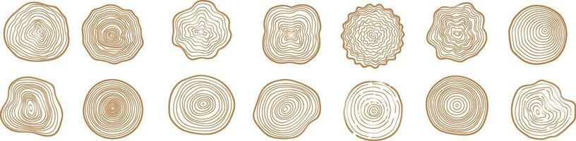 Tree rings, hand-drawn wood slice texture, abstract tree age year circle, line wooden circular ripple, nature timber vector