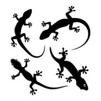 Lizard Silhouette Set Minimalist Black Gecko and Reptile collection vector