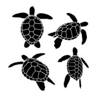 Wild turtle standing silhouettes on a white background Sea creatures and reptiles walking in different positions vector