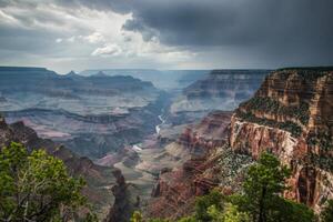 A view of the grand canyon from the rim photo