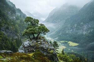 A lone tree stands on a rock in the middle of a valley photo