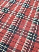 The pattern and background of the fabric has a red checkered motif photo