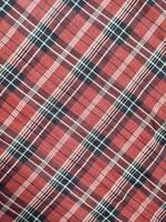The pattern and background of the fabric has a red checkered motif photo