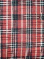 The pattern and background of the fabric has a red checkered motif photo