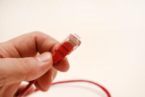 Red internet cable in hand. The RJ-45 connector. photo