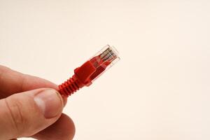 Red internet cable in hand. The RJ-45 connector. photo