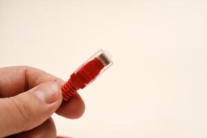 Red internet cable in hand. The RJ-45 connector. photo